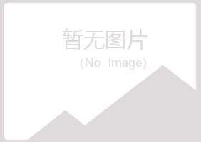 白银平川平淡能源有限公司